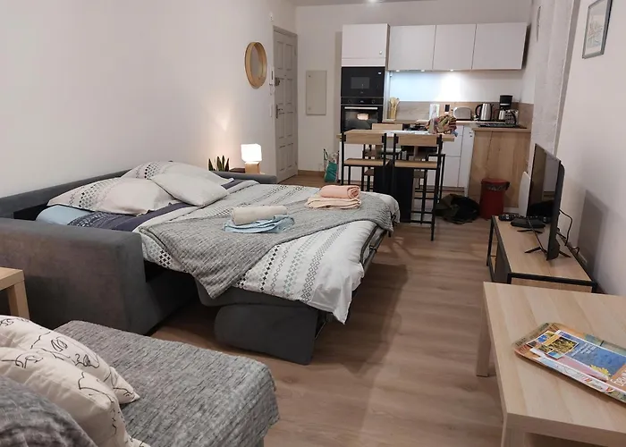 Studio Du Chateau - Axelle Loc\'Appart